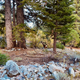 Campspot slideshow image 5