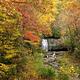 Fall Colors Near Cades Cove