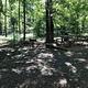 Campsite #12