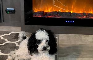 Maggie - Where everyone fits around the campfire