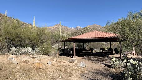 Sabino Canyon Recreation Area Cactus Ramada 1
