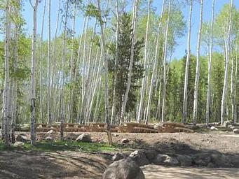 MOON LAKE GROUP CAMPGROUND