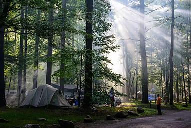 Elkmont