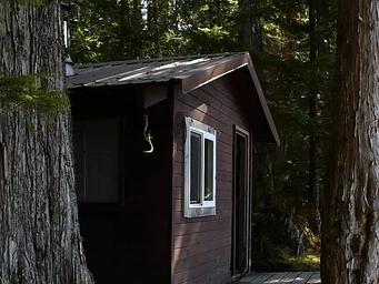 T09, Loop: AREA SALMON BAY LAKE CABIN