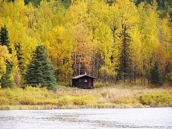Swan Lake Cabin Seward