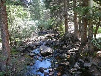 PONDEROSA GROUP - LAKE ISABEL