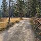 Road into the Fales Flat Group Site