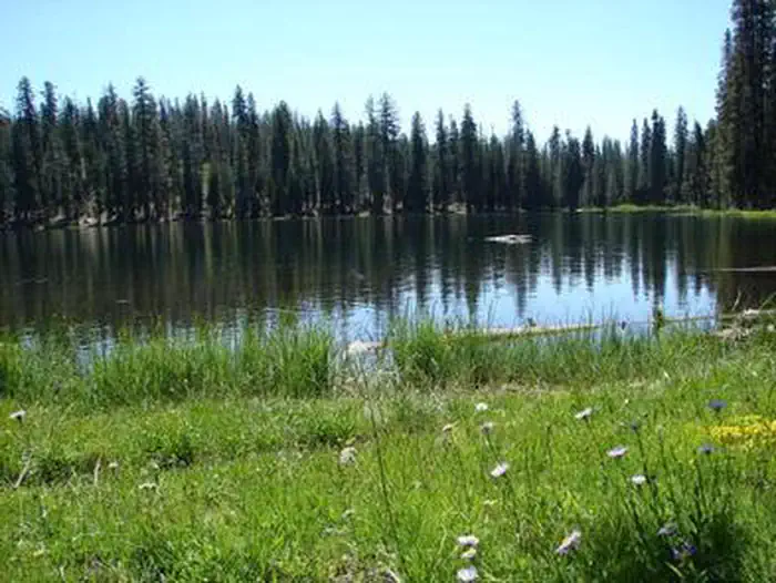 Juniper Lake Stock Corral