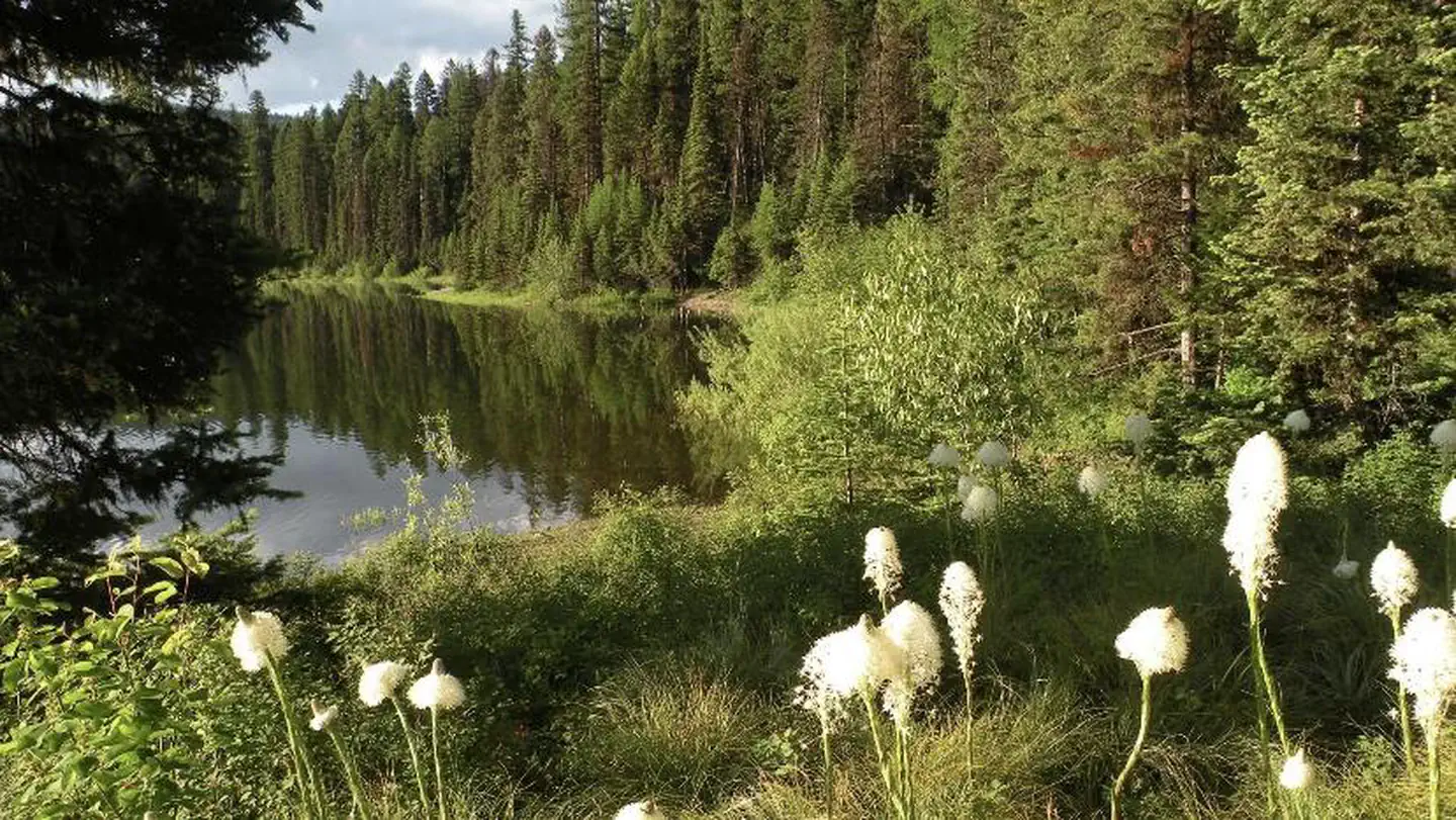 Lake Inez Point 6 (group Camp Site)