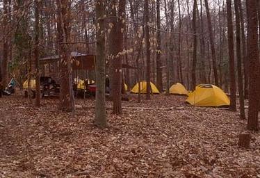 Multiple yellow tents clustered in a campsite among fallen leaves in a winter forest