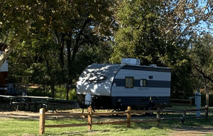 2022 Forest River RV Cherokee Wolf Pup 16FB