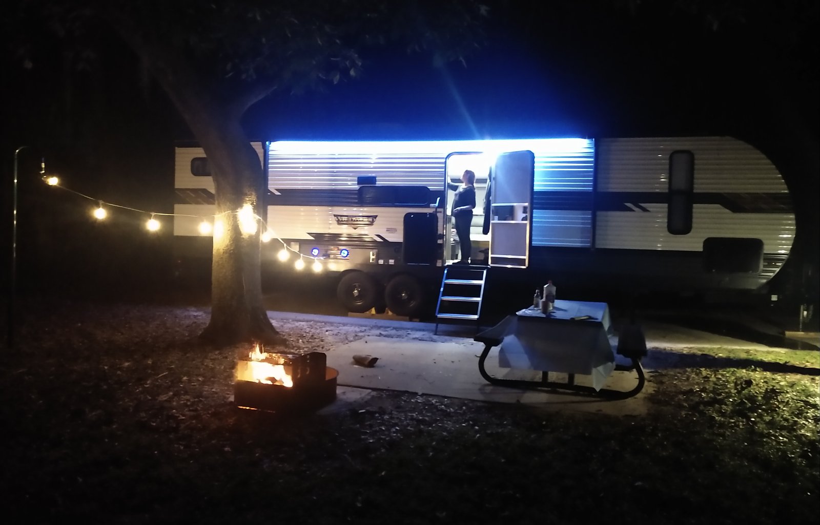 2021 Forest River Rv Wildwood 29VBUD