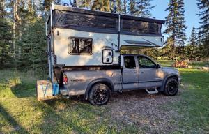 Pack-n-Play Palomino