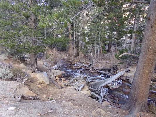 G01, Loop: PALISADES GROUP CAMPGROUND