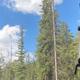 2020 NuCamp Boondock Edge XL
