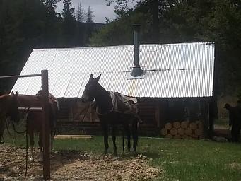 01, Loop: AREA TWOGOOD CABIN