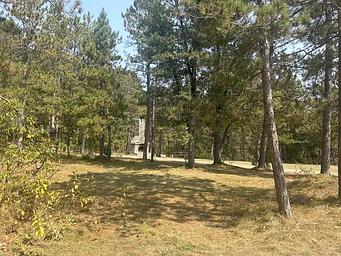 001, Loop: CHIMNEY LOOP CAMPGROUND