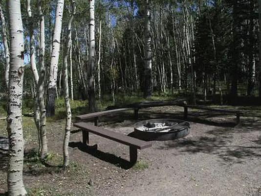 G1, Loop: ELKHORN CAMPGROUND