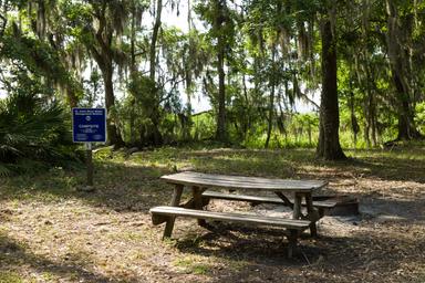 JP Hall Bayard Point Conservation Area Davis Landing Site SJRWMD