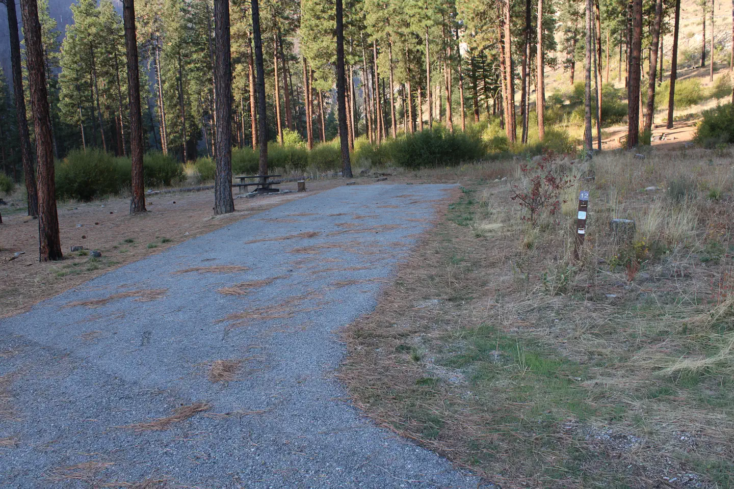 Pine Flats (ID)