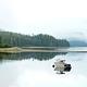 Moser Island Cabin4