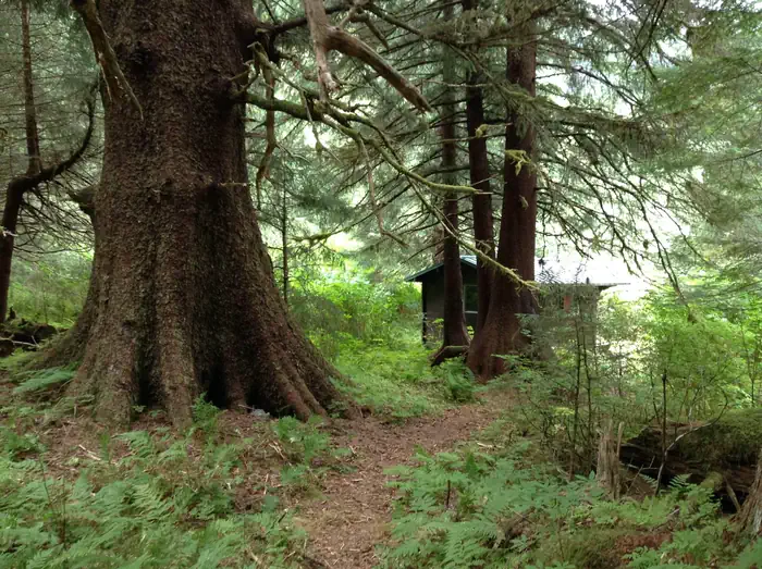 Plotnikof Lake Cabin