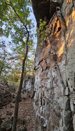 Crimper Ridge