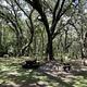 Ocklawaha Prairie Restoration Area Hike-In SJRWMD