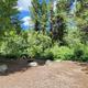 A shady campsite at Malad Summit
