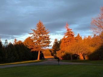 Champlain Resort Adult Campground