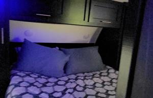 Forest River RV Cherokee greywolf 26DBH gg.......
