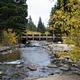CAMP DICK Bridge over Creek