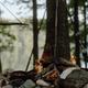 Close-up campfire scene at a wooded lakeshore — visible fire pit, hanging grill, trees and water in background. Sourced from the site Home background (EPLC-6) showing onsite lakeside fire area.