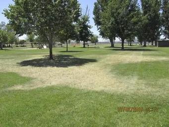 West Park (OR)