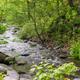 Campspot slideshow image 1