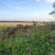Campspot slideshow image 1