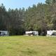 Campground with three RVs on grassy area, tall trees in the background. Sunny, daytime.