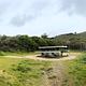 Coast campsite 1 with bear box and picnic table.
