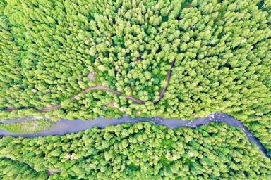 Trout Creek Wilderness Lodge