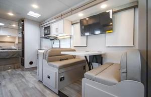Brand New 2026 "Wanderer" 29