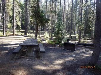 Lodgepole Campground (wa)