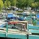 A calm marina filled with various docked boats and lush green trees.
