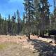 Walk-in campsite