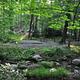 ELKMONT CAMPGROUND