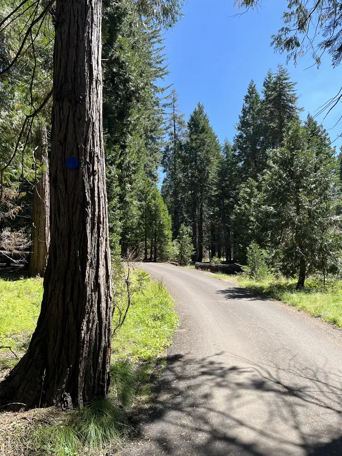 Crystal Springs Campground Mid-sized Group Sites