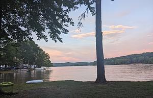 Summer Specials Still available!