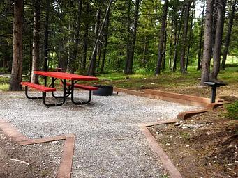 Picnic table, fire ring and grill in forest setting