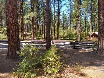 A large forested area with picnic tables and a restroom in the bathroom.