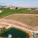 High-angle aerial view showing the pond, dock, and a row of vintage trailers with vineyard-covered hills—clearly depicts the property layout and setting (source page: thetrailerpond.com).