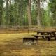 GRAHAM CORRAL HORSE CAMPGROUND